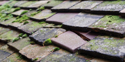Caeo roof repair costs